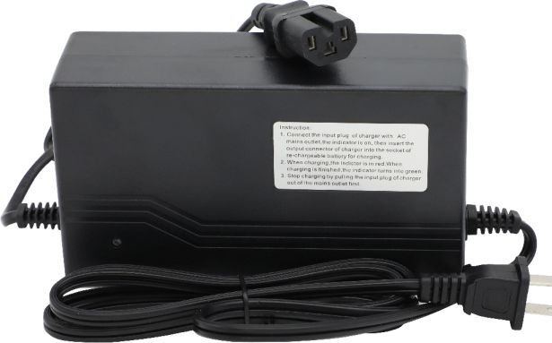 Charger - 48V, 3A, T-Prong Plug with C13, Reverse Polarity - CHG4830TRF1
