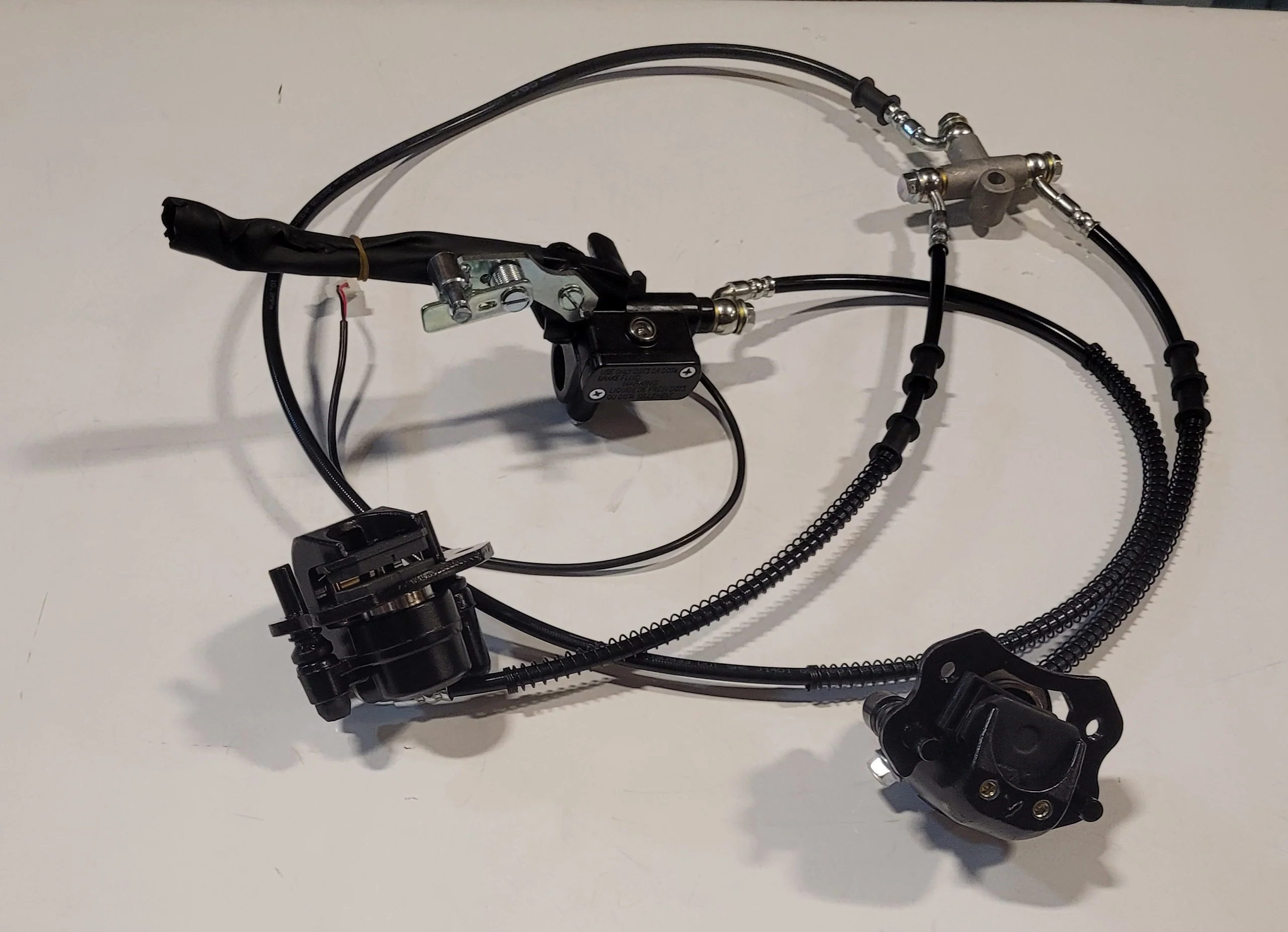 Rear Brake Assembly