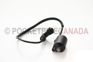 300cccoilbeargio