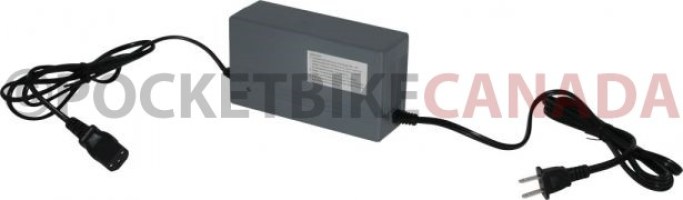 Charger_ _48V_2 5A_C13_Plug_Reverse_Polarity_2